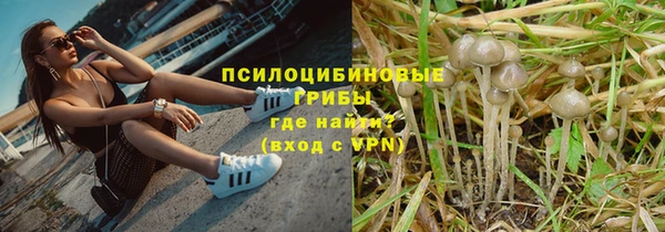 бутират Лиски