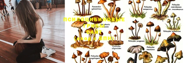бутират Лиски