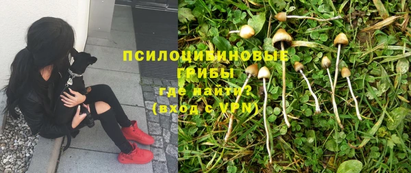 кокс Лабытнанги