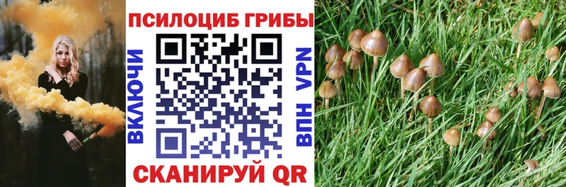 Псилоцибиновые грибы ЛСД  что такое   KRAKEN   Уссурийск 