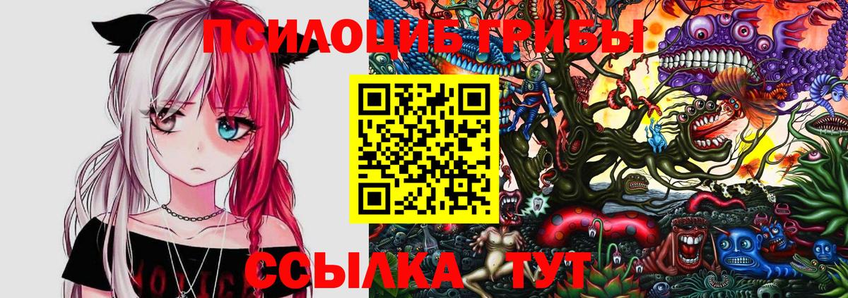 Галлюциногенные грибы Cubensis  Псилоцибиновые грибы прущие грибы  Уссурийск  Вход с VPN 